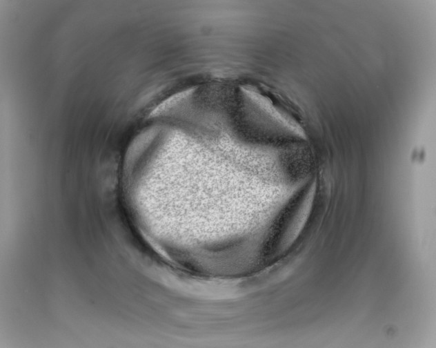 X0000091450032200709061744