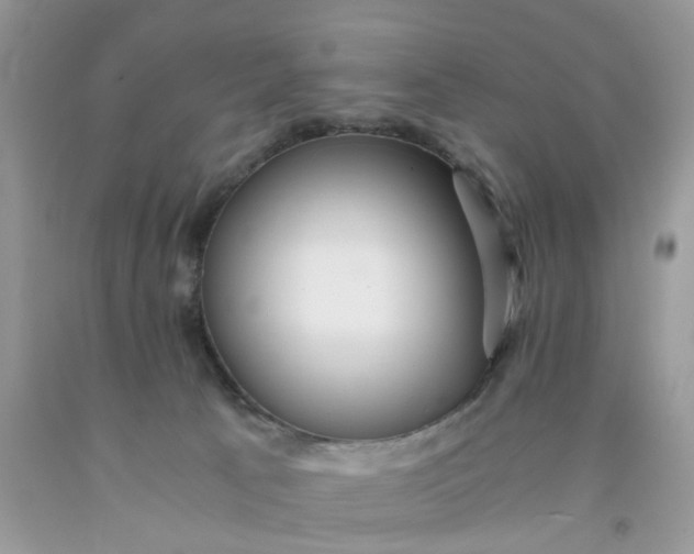 X0000091450033200709061744