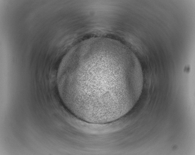 X0000091450034200709061744