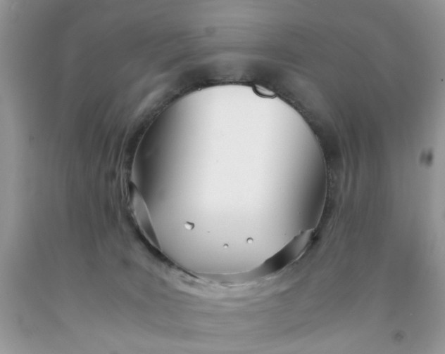 X0000091450035200709061744