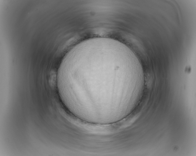 X0000091450036200709061744