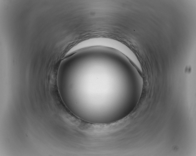 X0000091450037200709061744