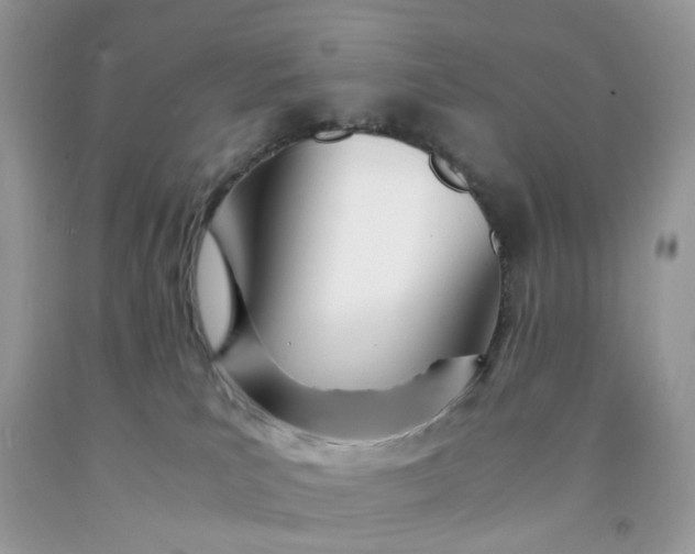 X0000091450039200709061744