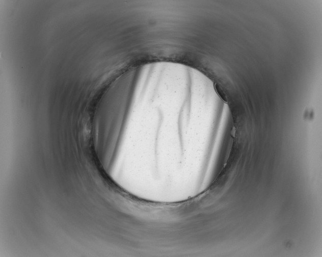 X0000091450040200709061744