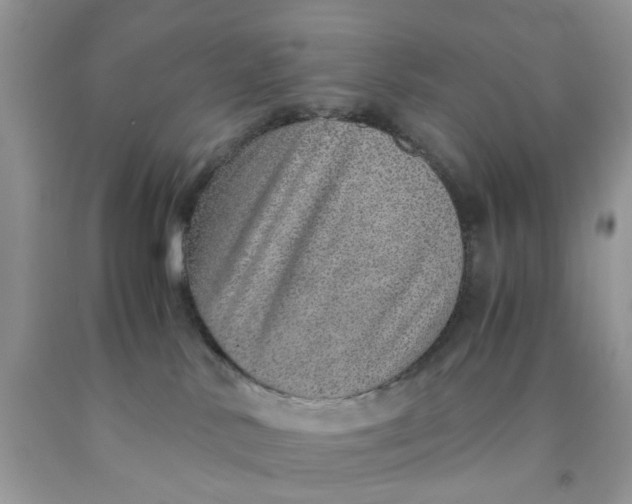 X0000091450042200709061744