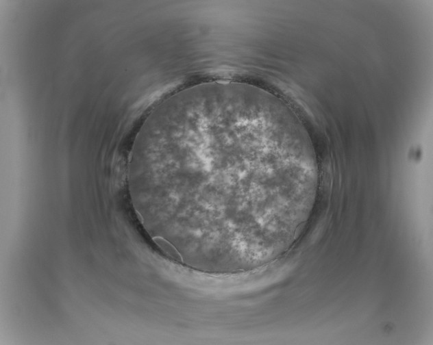 X0000091450043200709061744