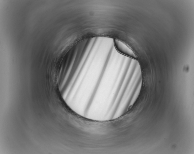 X0000091450044200709061744