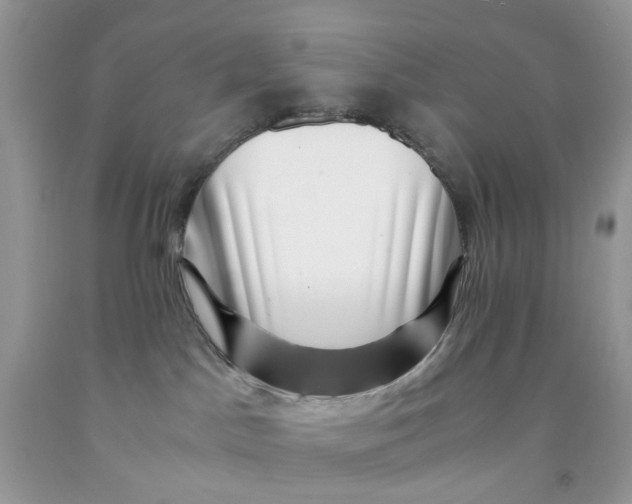 X0000091450045200709061744