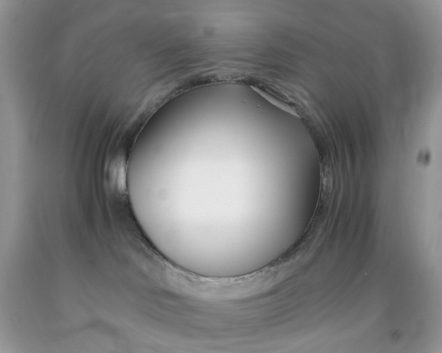 X0000091450046200709061744