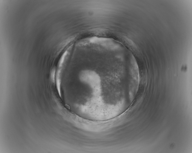 X0000091450047200709061744