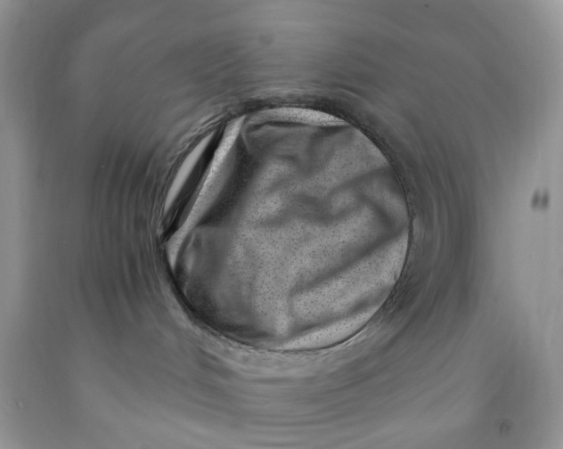 X0000091450048200709061744