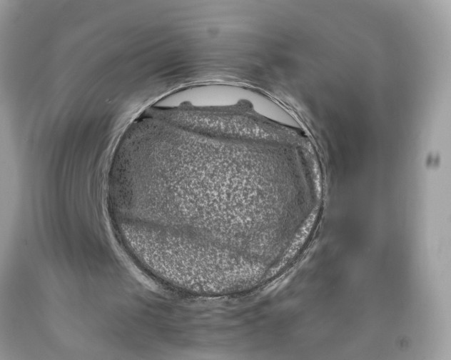 X0000091450049200709061744