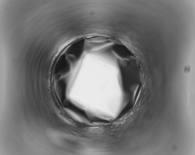 X0000091450050200709061744