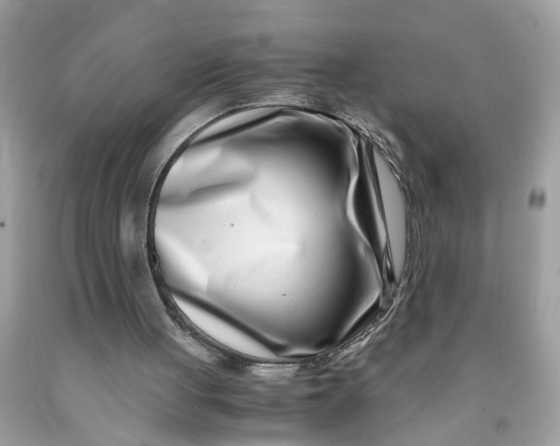 X0000091450051200709061744