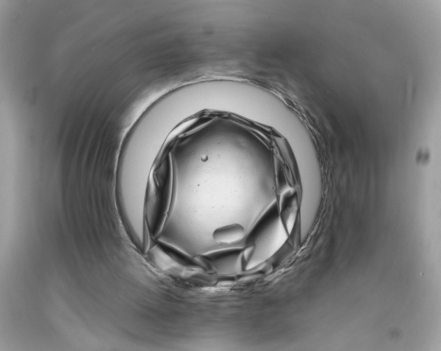 X0000091450052200709061744