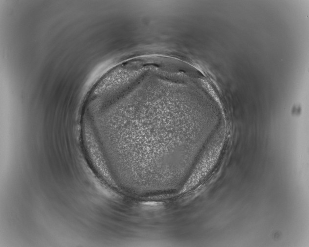 X0000091450053200709061744