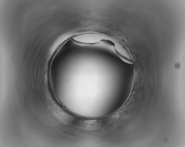 X0000091450054200709061744