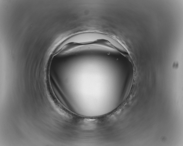 X0000091450055200709061744