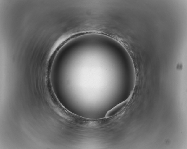 X0000091450056200709061744