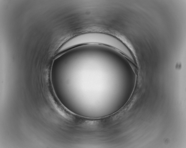 X0000091450057200709061744