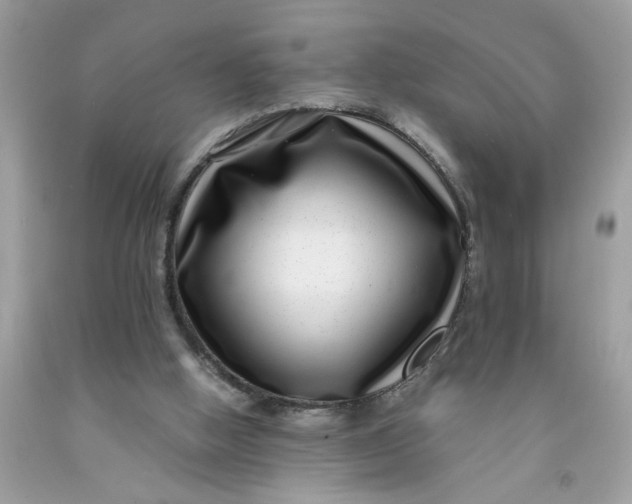 X0000091450058200709061744