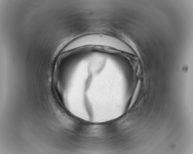 X0000091450059200709061744