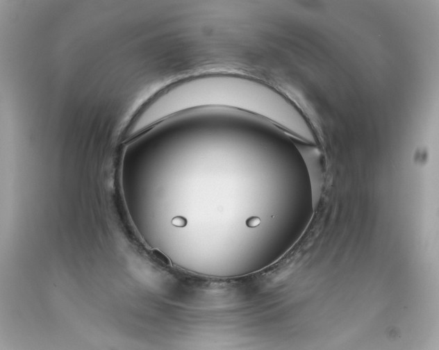 X0000091450060200709061744