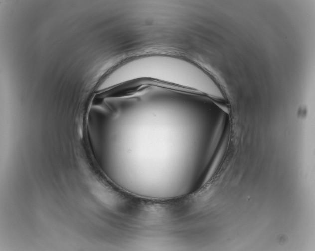 X0000091450062200709061744