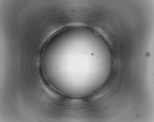 X0000091450063200709061744