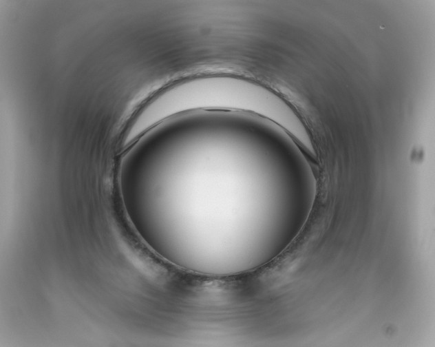 X0000091450064200709061744