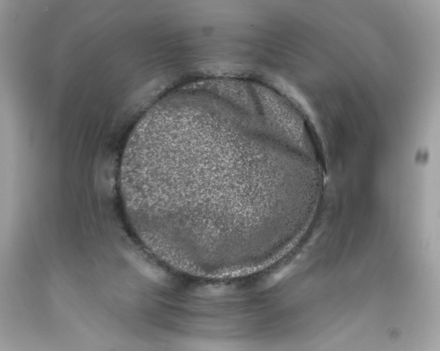 X0000091450065200709061744