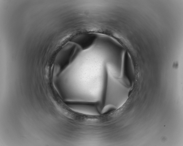 X0000091450066200709061744