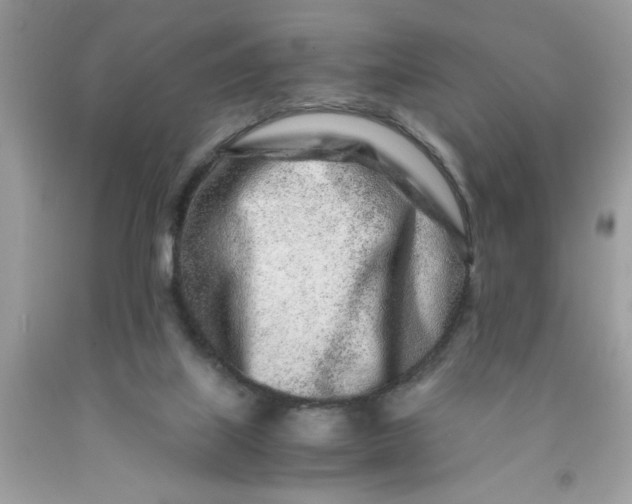 X0000091450067200709061744