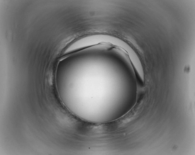 X0000091450068200709061744