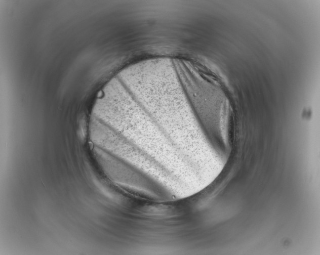 X0000091450069200709061744