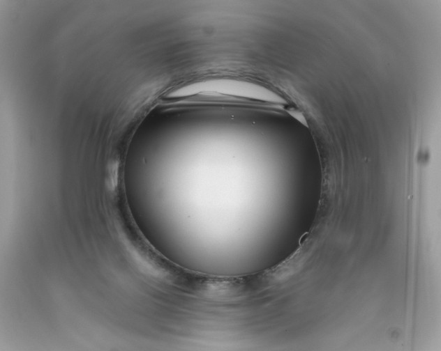 X0000091450070200709061744