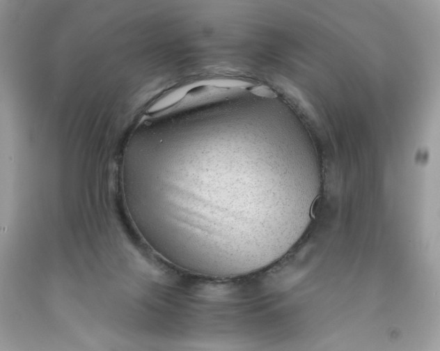 X0000091450071200709061744