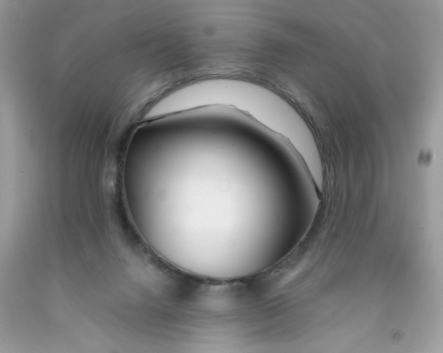 X0000091450072200709061744