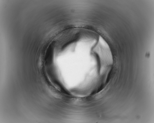 X0000091450074200709061744