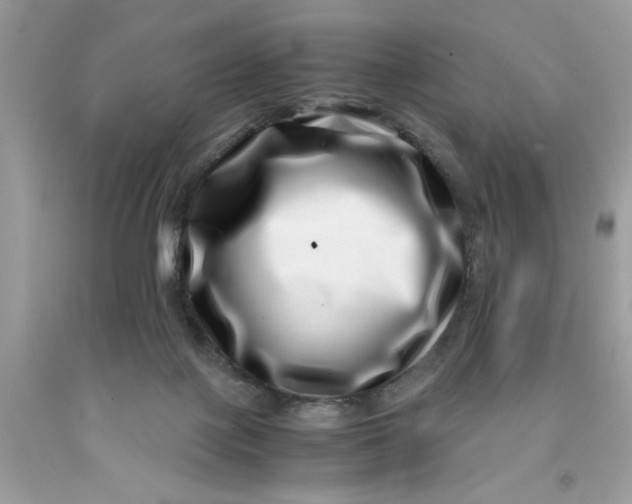 X0000091450075200709061744