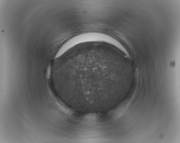 X0000091450076200709061744