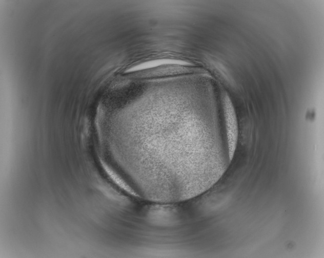 X0000091450077200709061744