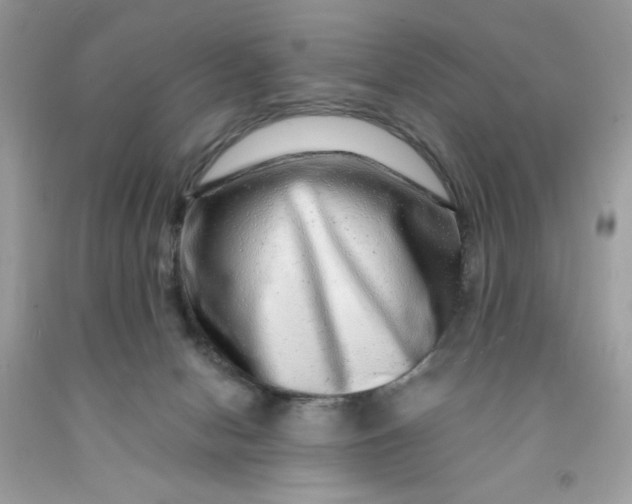 X0000091450078200709061744