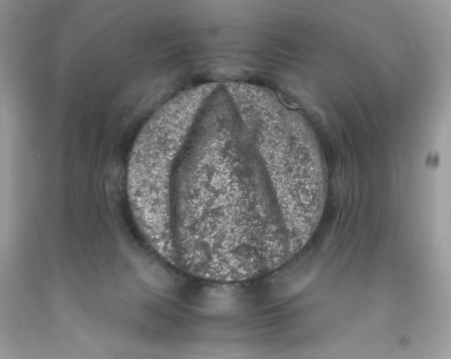 X0000091450079200709061744