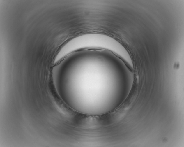 X0000091450080200709061744