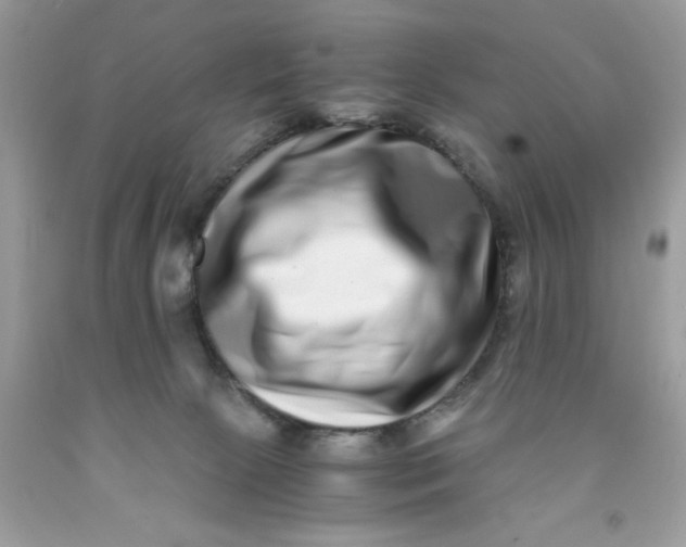 X0000091450081200709061744