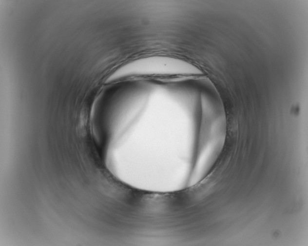 X0000091450082200709061744