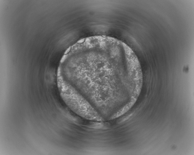 X0000091450083200709061744