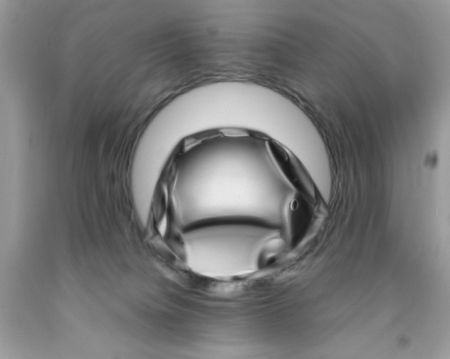 X0000091450084200709061744