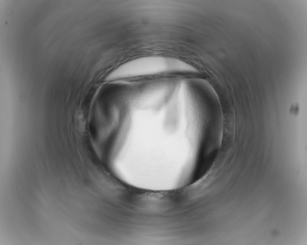 X0000091450086200709061744